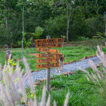 Hotel Nativo Glamping Barichara Esterno foto